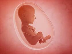 III. Il grande mistero dell’Origine: spunti per un’educazione prenatale