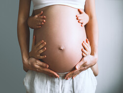 III. La gravidanza